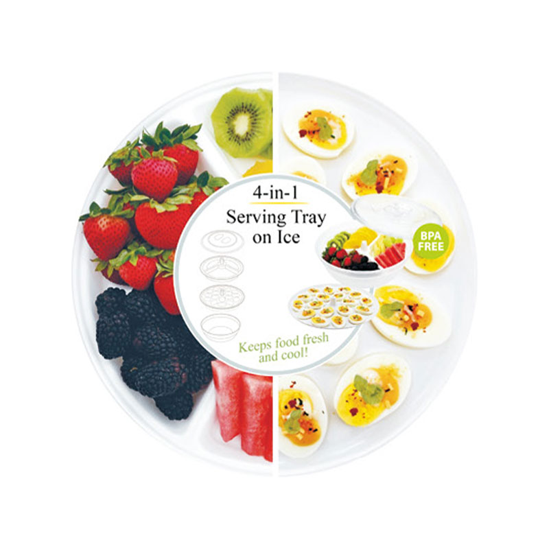 صينية تقديم 4 في 1 على الثلج